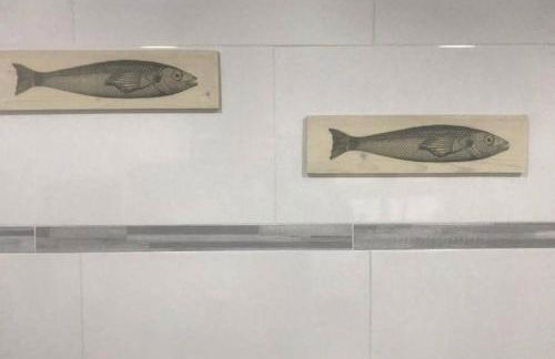 cuartin del camino - Foto 29