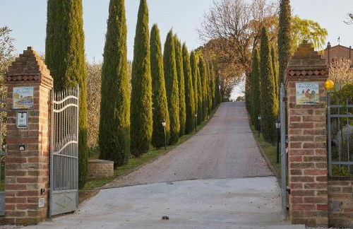 Podere Fontegallo - Photo 62