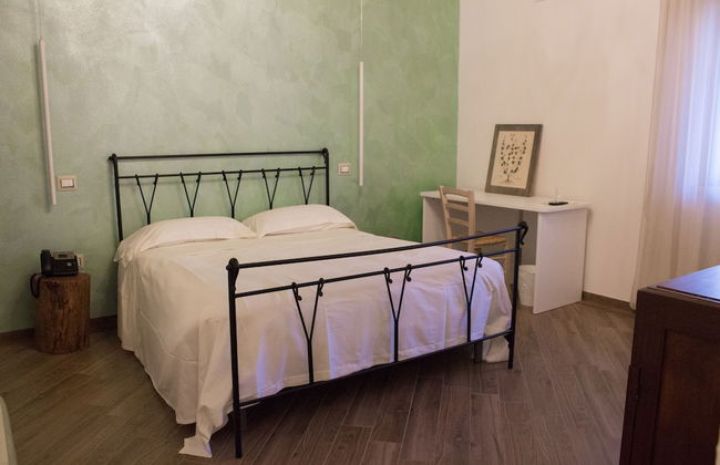 Fattoria L'Olmetto - Foto 24