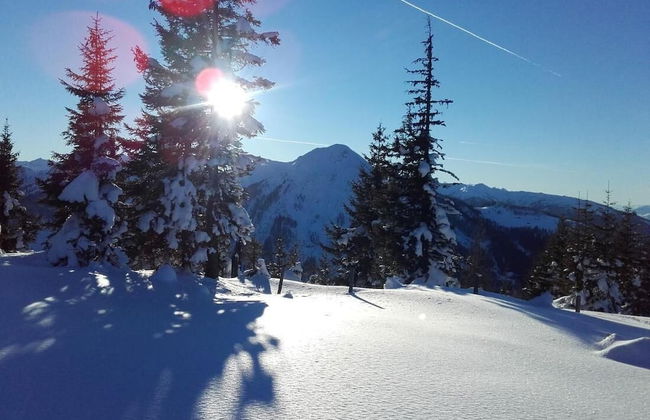 Room-holiday Home Kahr Apartment Roßbran - Photo 28