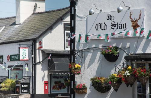 Dol Y Mynydd The Mountain Meadow - Cottage - Photo 38