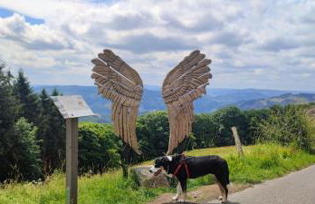 Modernes Rhombushaus im Naturparadies Sauerland - Foto 28