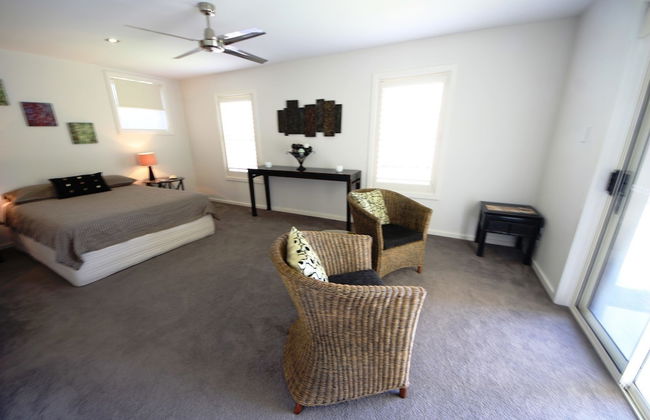 Geckos at South West Rocks - Photo 3