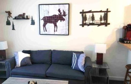 Deluxe Mountain Fox Suite Jiminy Peak - Ski On Off - Fully Redone Decor - Foto 21