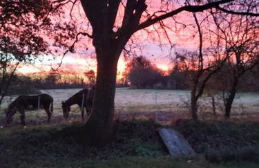 Le Moulin d' Erée, gîte Insolite de charme - Foto 36