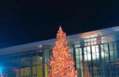 " Die Wolfs Burg" 70qm - 3Zimmer- Duschbad - Küche & zentrumsnah - Foto 14