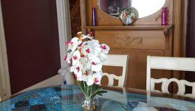 Sunny & Spacious Montclair NJ Apartment - Foto 2