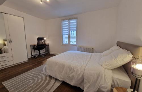 Centre Historique LAVAL - Foto 10