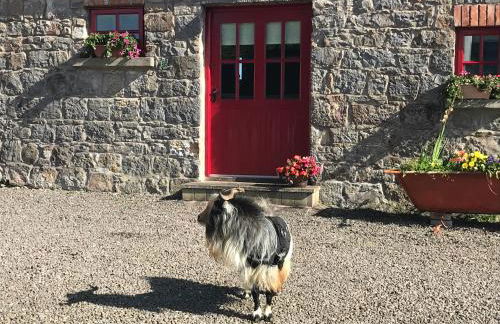 Minnie’s Cottage - Foto 31