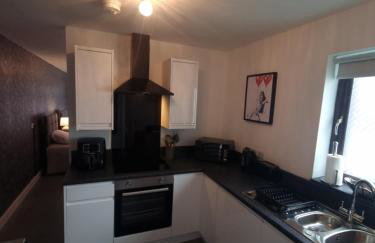 Rise at the Belfast Murals - Photo 8