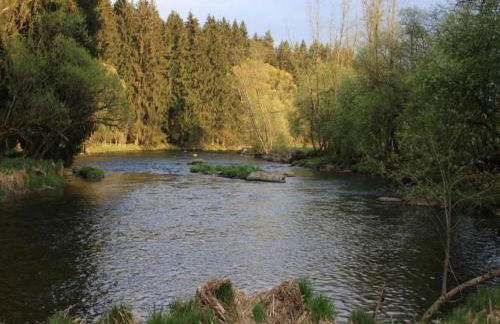 Gemütliche Wohnung in Flussnähe in Regen Bayern - Foto 16