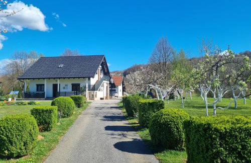 Apartment Rosandić - Foto 4