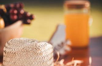 Vale Pisco - Photo 152