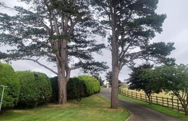 Loughview Retreat in the Mournes - Photo 3