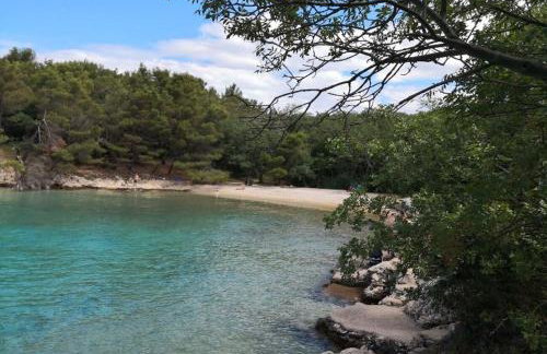 Apartments Insula Insule - Foto 26