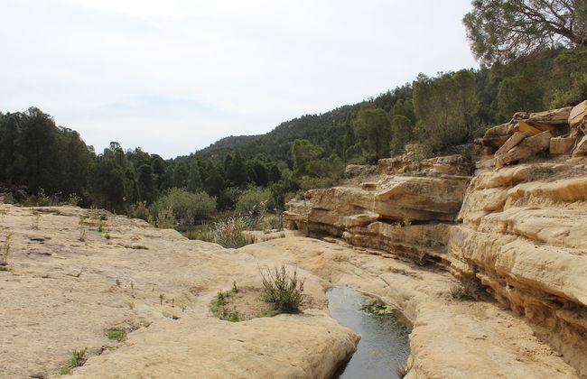 Villa in the Mountains Hammamet - Foto 46