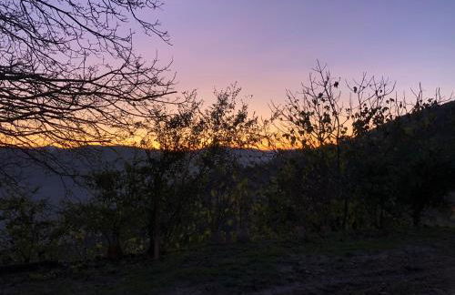 Il cortile dei frutti selvatici - Photo 56