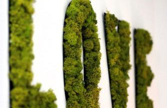 Die Idyllische - Ferienwohnung mit Garten und Sauna - Foto 16