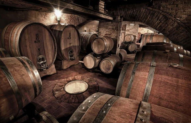 Montalcino Wine Tasting - Photo 1