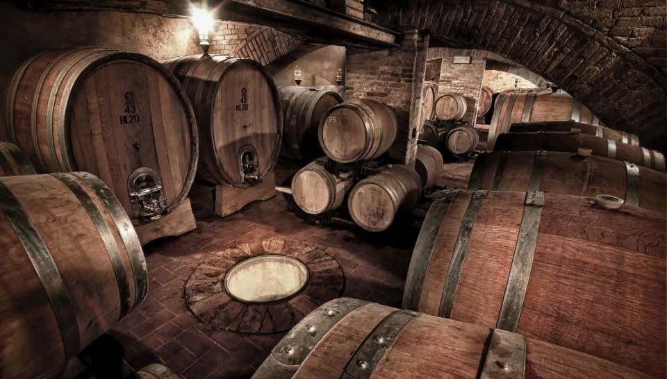 Botti di vino della cantina del castello