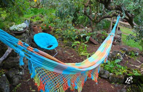 Quinta do Paraíso - Photo 18