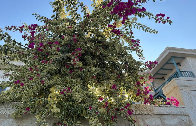 Villa Umay - Foto 36