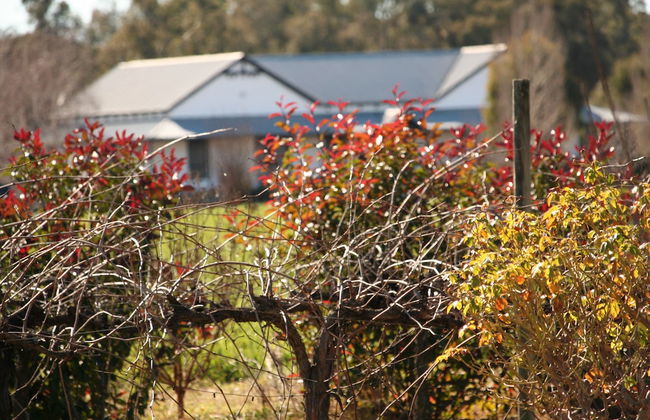 The Farmhouse at Blue Wren Wines - Photo 20