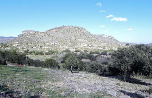 Mas de Muñoz - Foto 12