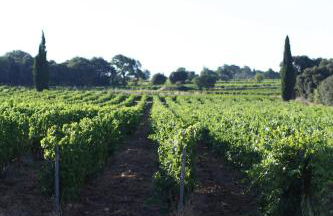 La Bergerie des Ocres, authentic & friendly villa - Foto 30