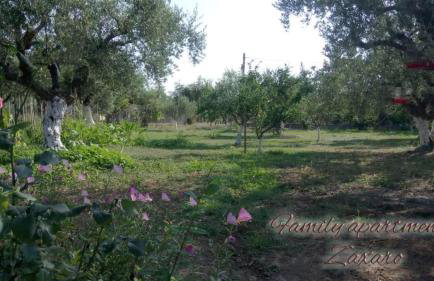 Mina Apartments - Foto 40