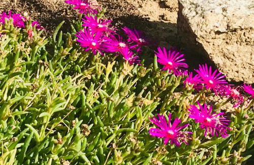 La Blatière French Cottages - Foto 27