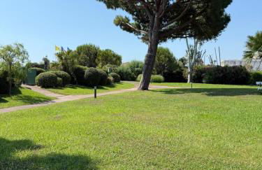 Maradiva Studio - Foto 25