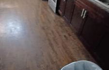 Willoughby - Foto 16