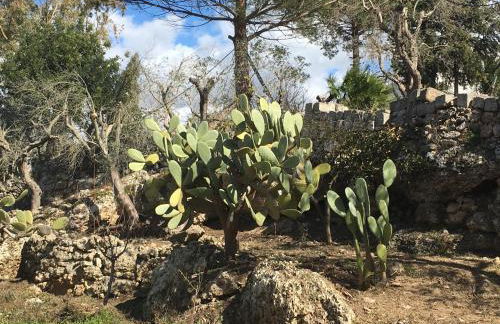 Riserva Ancelle - Foto 42