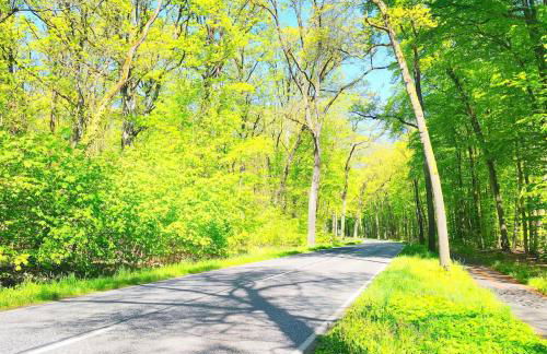 Ferienwohnung im Grünen Senzig - Photo 25