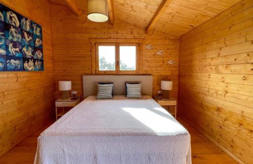 Herdade Terra rica - Photo 45