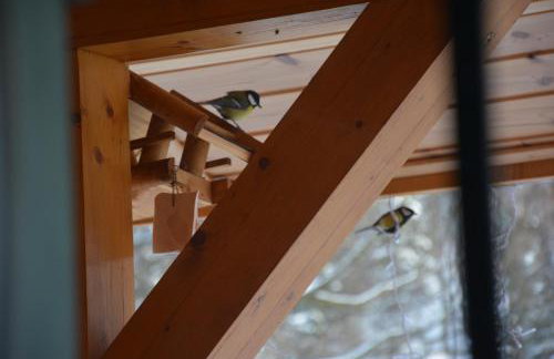 Pod Zielonym Dachem - Foto 20