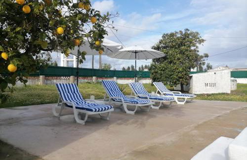 Moradia de férias Casa do Chorão - Montargil - Foto 11