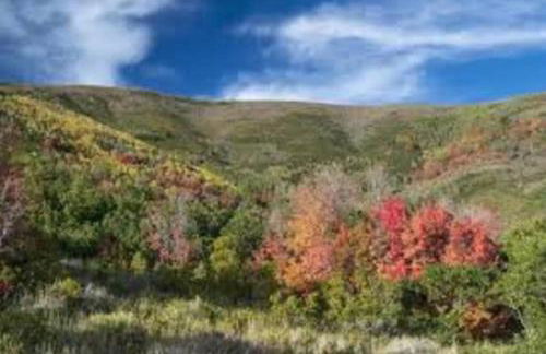 Midway to Heaven! BRAND NEW 5 bed 4.5 bath, HOTTUB - Photo 70