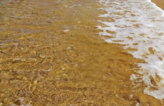 Orchidilla Residence Mai Khao Beach Phuket - Foto 22