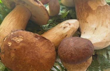 Agriturismo Da Nonna Argia - Foto 34