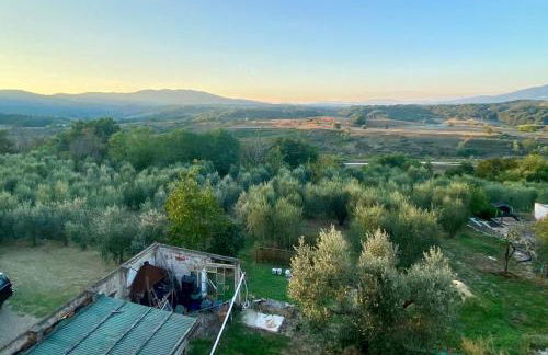 Casa di Patti - Foto 13