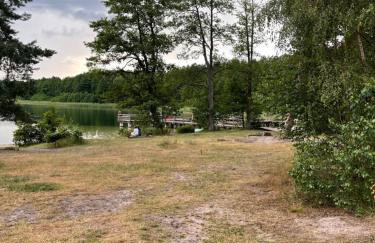 Domki i Pole Namiotowe Pod Sosnami - Foto 14