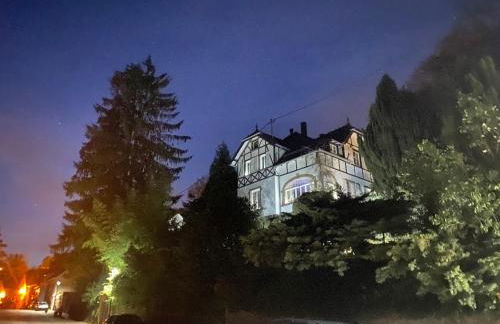 LA VILLA DES OISEAUX - La Petite Pierre - Foto 6