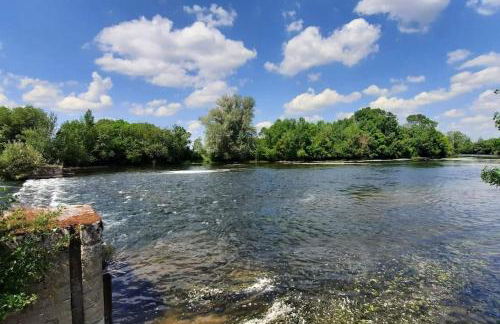 Gite de la Salamandre aan de rivier de Cher vlakbij Zoo de Beauval - Foto 14