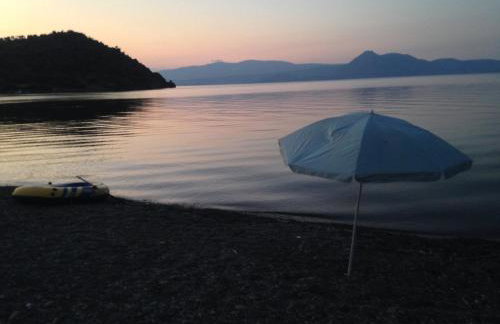 Palm tree house by the beach - Foto 47