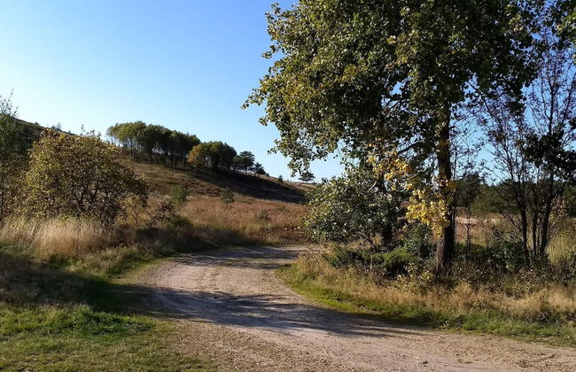 6 Person Holiday Home in Bording - Foto 23