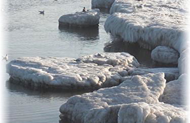 Ferienwohnung mit Terrasse - Insel Usedom - Foto 65