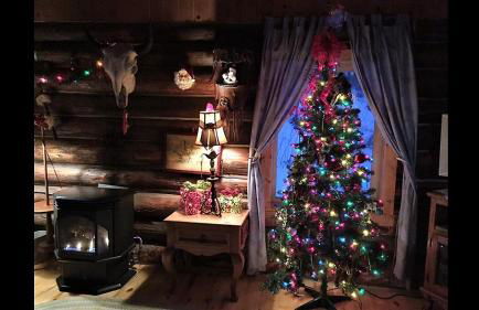 Grandpa's Cabin - Foto 17