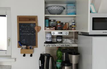 Chillkröte - Foto 14